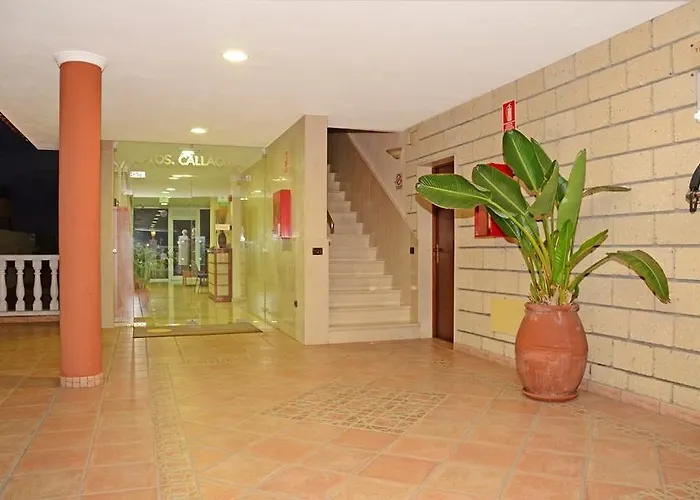 Apartamento Callaomar